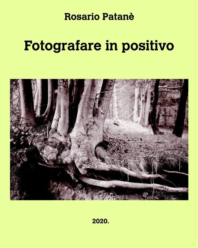 Fotografare in positivo: Manuale di fotografia positiva diretta - Image 1