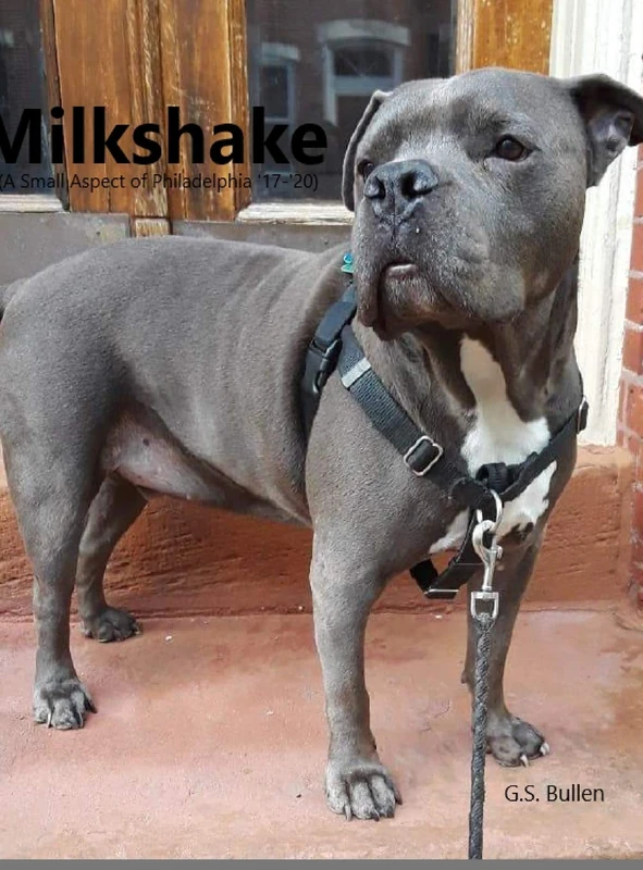 Milkshake: Milkshake(A Small Aspect of Philadelphia '17-'20) - Image 1