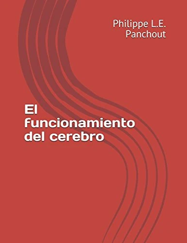 El funcionamiento del cerebro