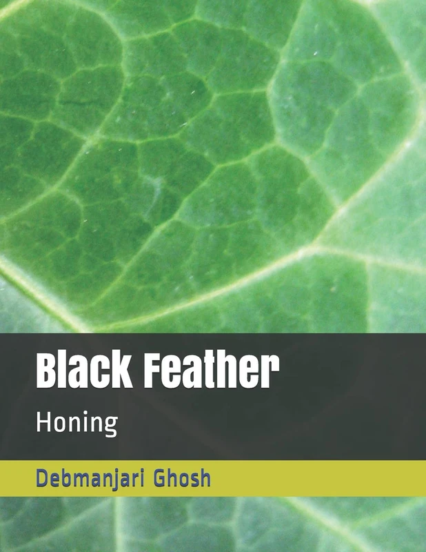 Black Feather: Honing: 2 (Melodies) - Image 1