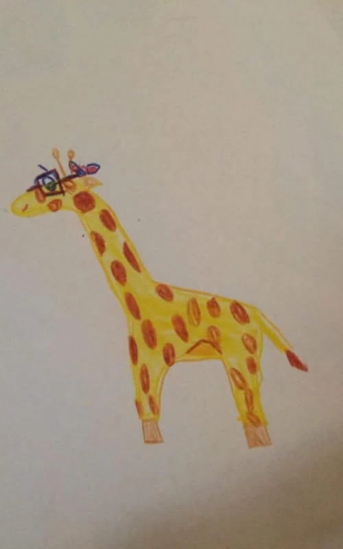 Jazz the giraffe