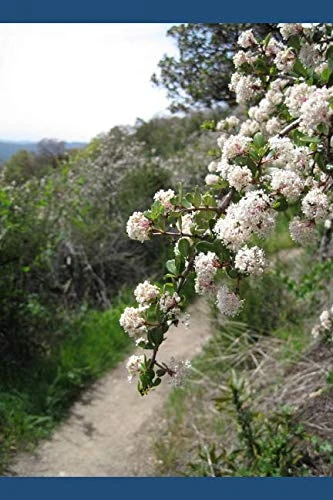 Sunny 9: Blog from 2003-2009 - Image 1