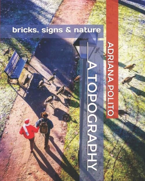 Bricks, Signs & Nature: A Topography - Image 1
