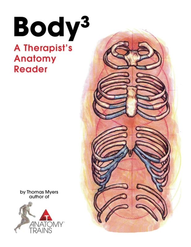 Body3: A Therapist's Anatomy Reader - Image 1