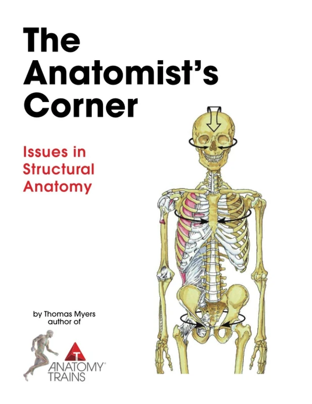 The Anatomist's Corner