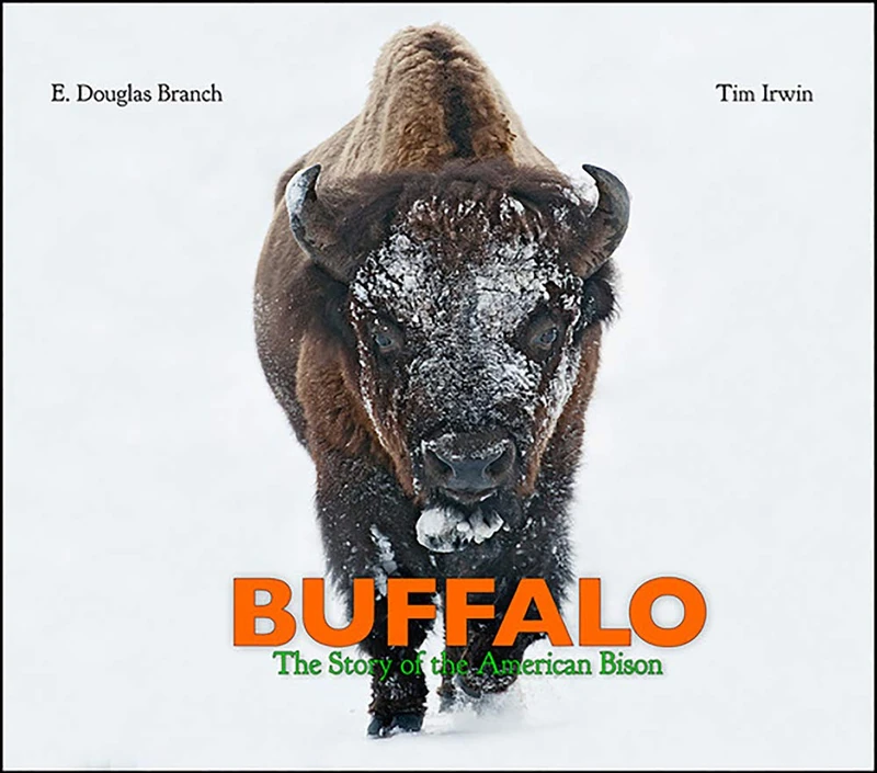 Buffalo: The Story of the American Bison - Image 1