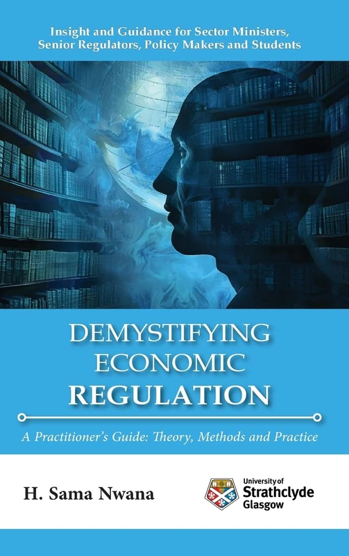 Demystifying Economic Regulation: A Practitioner's Guide - Image 1