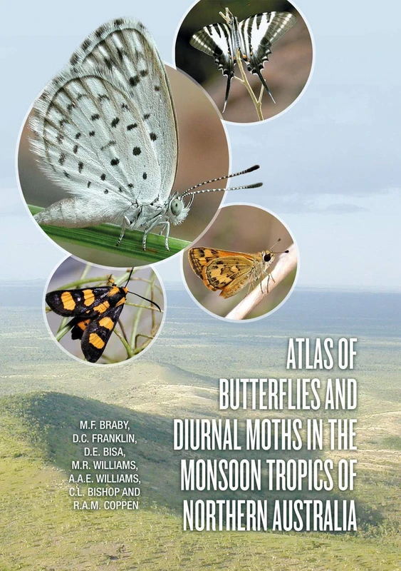 Atlas of Butterflies and Diurnal Moths in the Monsoon Tropics of Northern Australia - Image 1