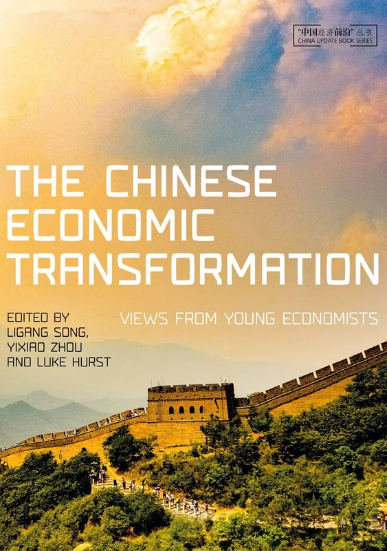 The Chinese Economic Transformation: Views from Young Economists (China Update Series)