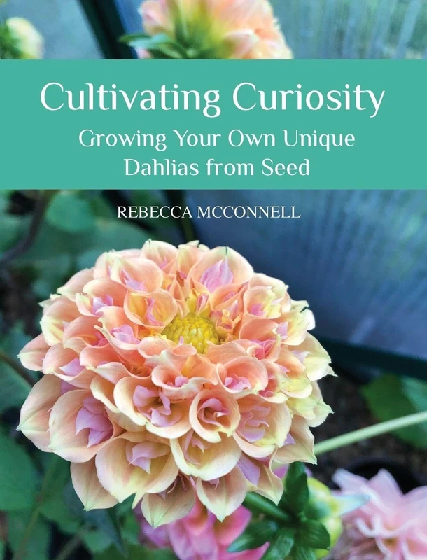 Cultivating Curiosity: Growing Your Own Unique Dahlias from Seed - Image 1