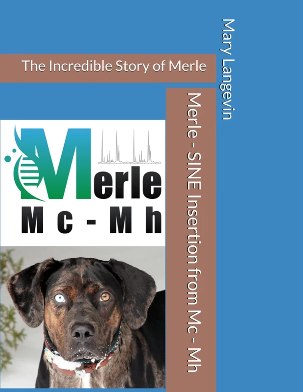 Merle - SINE Insertion from Mc - Mh: The Incredible Story of Merle - Image 1