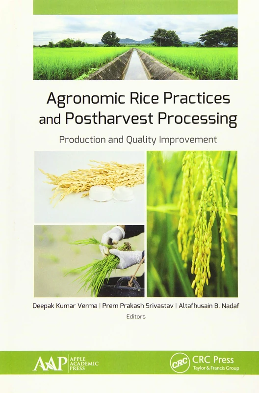 Agronomic Rice Practices and Postharvest Processing: Production and Quality Improvement