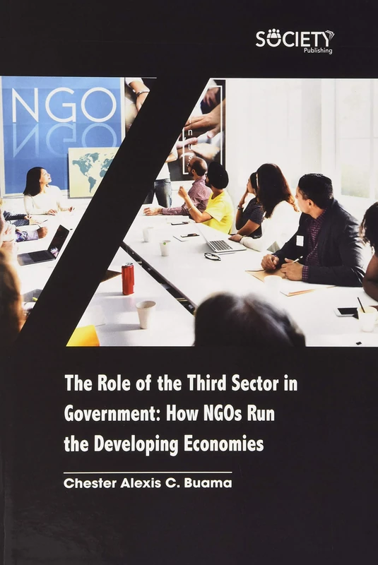 The Role of the Third Sector in Government: How NGOs Run the Developing Economies