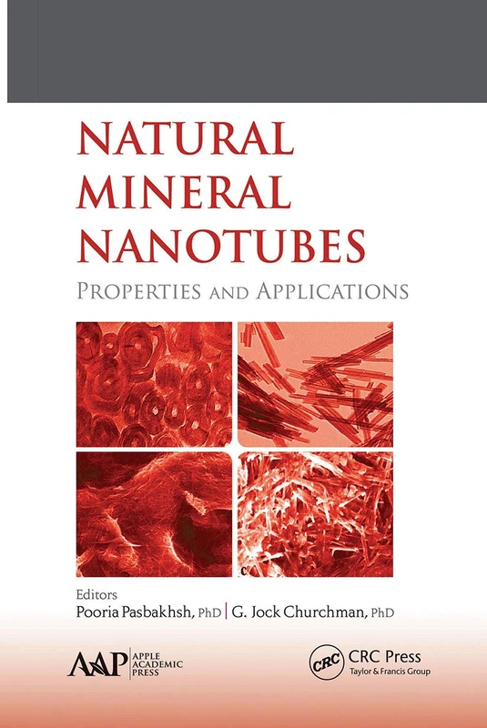 Natural Mineral Nanotubes: Properties and Applications