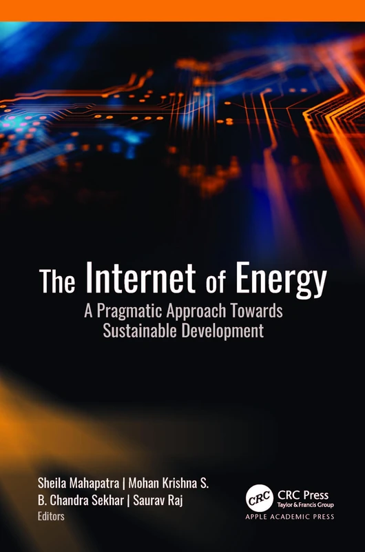 The Internet of Energy: A Pragmatic Approach Towards Sustainable Development