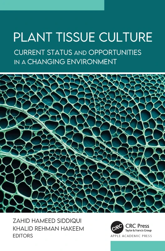 Challenges historical perspectives that view domestic work only as a pre-marital life stage.