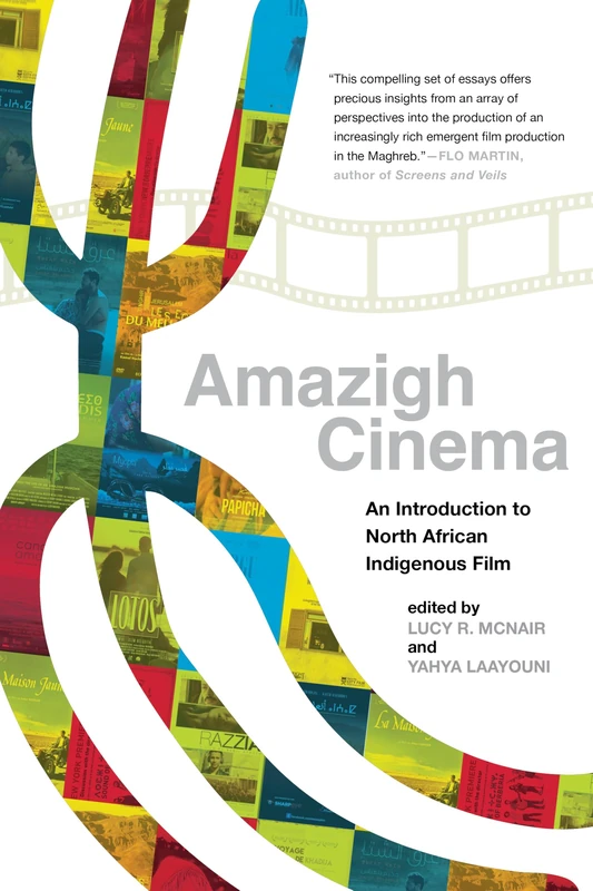 Amazigh Cinema: An Introduction to North African Indigenous Film: 1 (Indigenous Voices in World Arts and Cultural Expressions)
