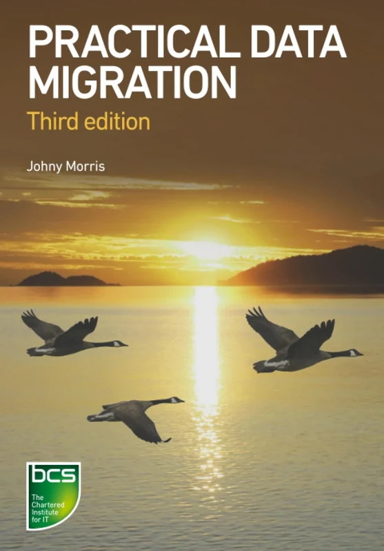 Practical Data Migration