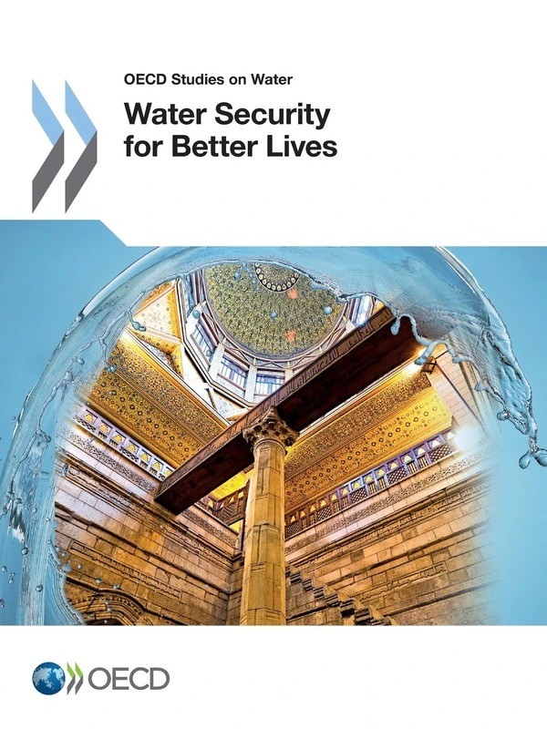 Water Security for Better Lives (OECD Report Series)
