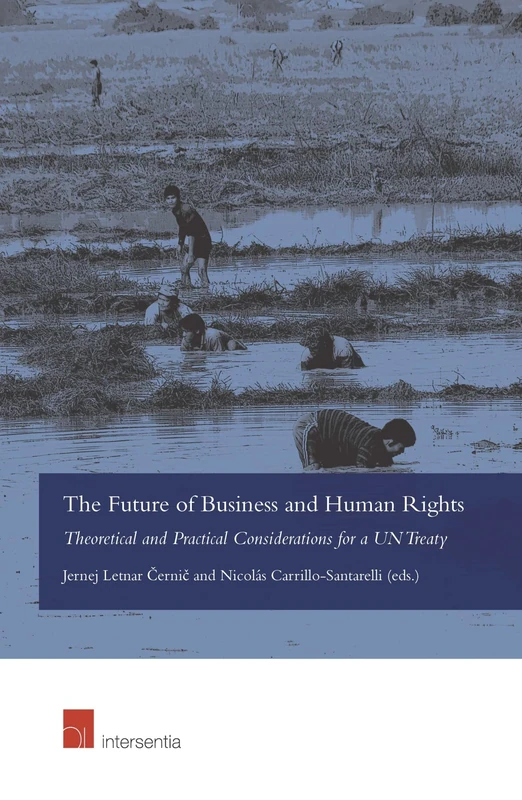 The Future of Business and Human Rights: Theoretical and Practical Considerations for a UN Treaty - Image 1