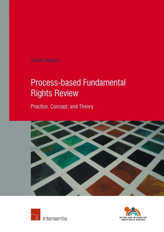 Process-Based Fundamental Rights Review: Practice, Concept, and Theory: 88 (Human Rights Research)