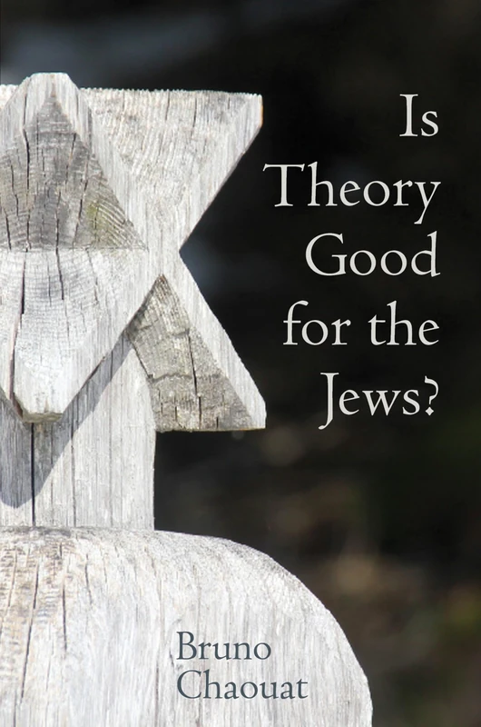 Is Theory Good for the Jews? (Contemporary French and Francophone Cultures): French Thought and the Challenge of the New Antisemitism: 43
