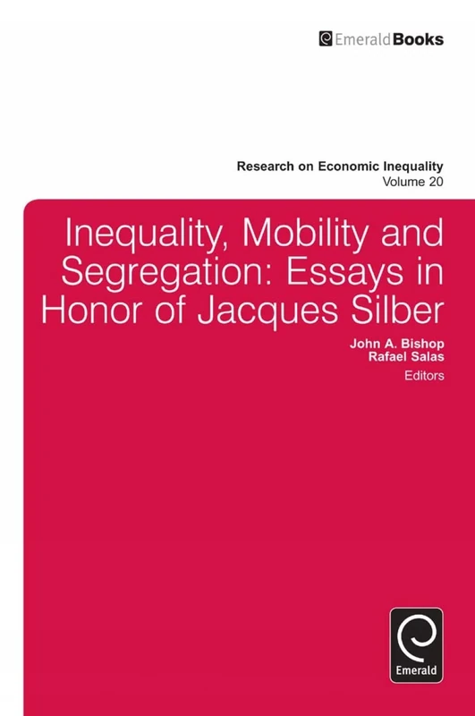 Inequality, Mobility, and Segregation: Essays in Honor of Jacques Silber: 20 (Research on Economic Inequality, 20)