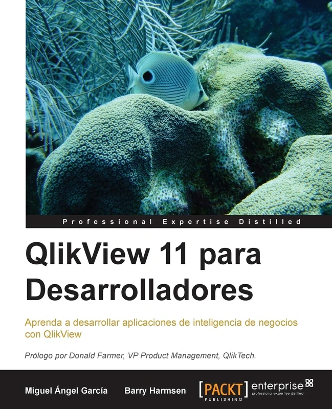 QlikView 11 para Desarrolladores