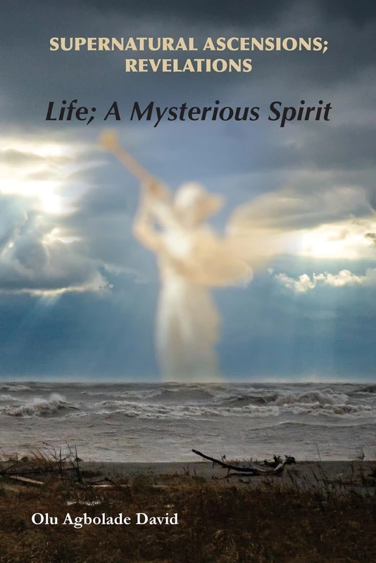 Supernatural Ascensions; Revelations: Life; a mysterious spirit - Image 1