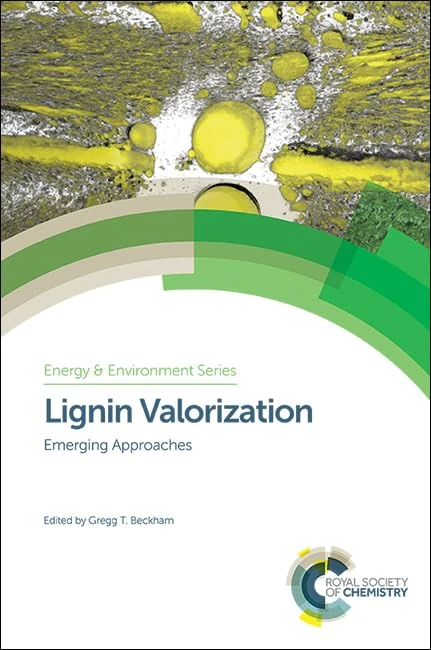 Lignin Valorization: Emerging Approaches: Volume 19 (Energy and Environment Series)