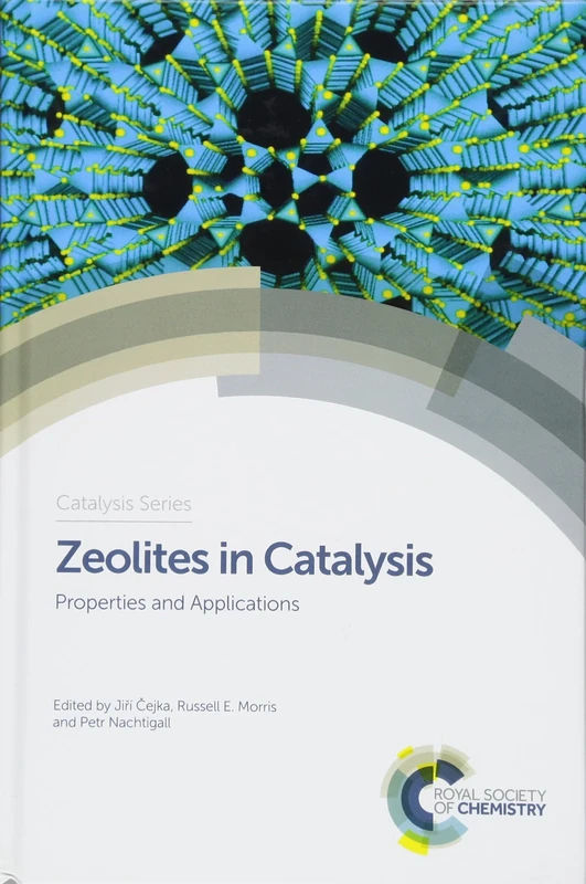 Zeolites in Catalysis: Properties and Applications: Volume 28 (Catalysis Series)