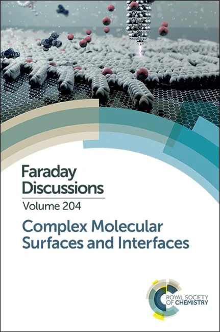 Royal Society of Chemistry Faraday Discussion 204 - Volume 204