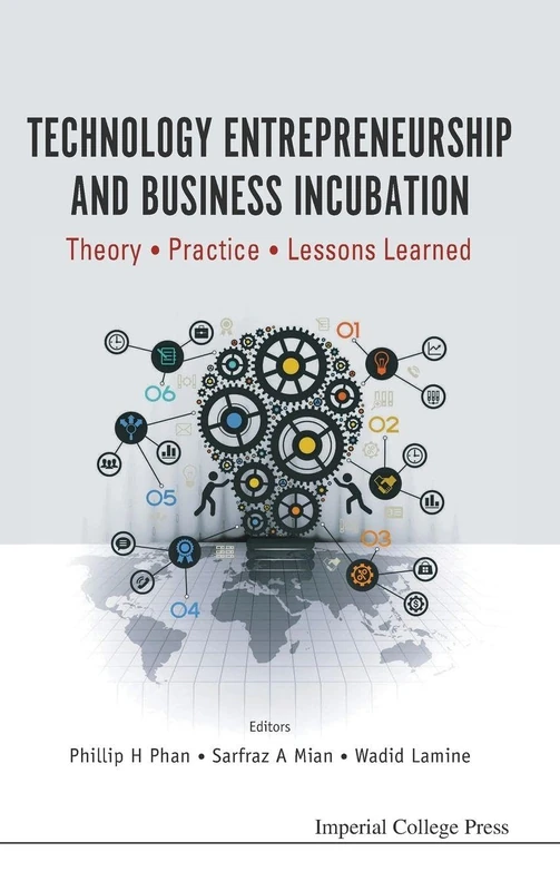 Technology Entrepreneurship and Business Incubation: Theory, Practice, Lessons Learned