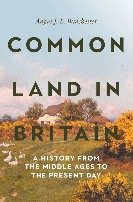 Common Land in Britain: A History from the Middle Ages to the Present Day: 14 (Garden and Landscape History)