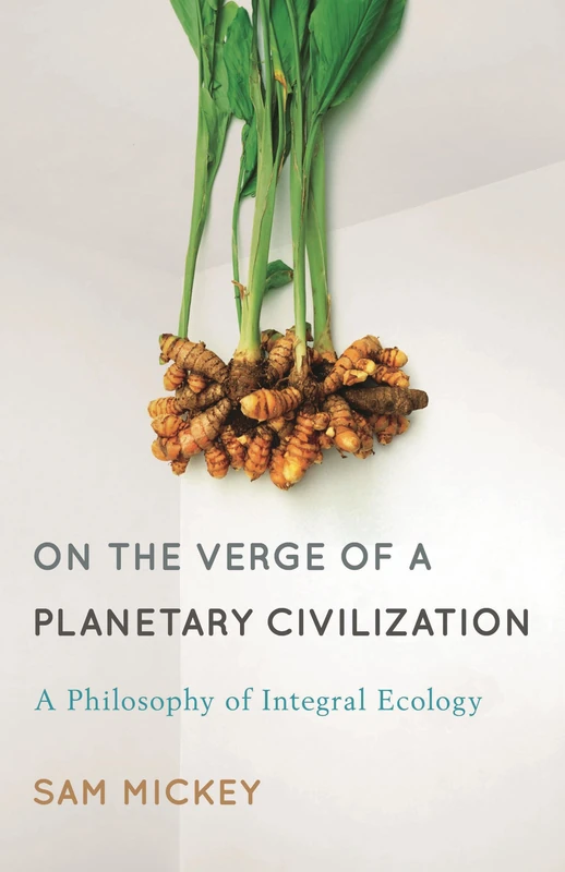 On the Verge of a Planetary Civilization: A Philosophy of Integral Ecology