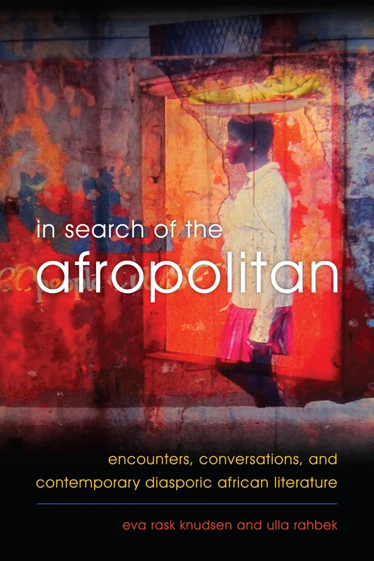 In Search of the Afropolitan: Encounters, Conversations and Contemporary Diasporic African Literature - Image 1