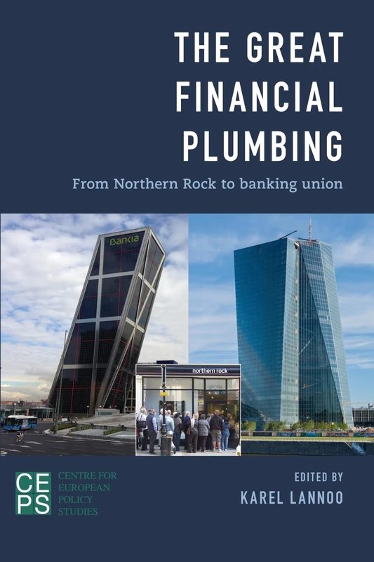 The Great Financial Plumbing: From Northern Rock to Banking Union - Image 1