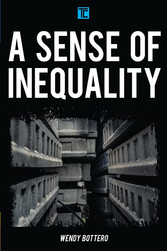 Sense of Inequality (Transforming Capitalism)