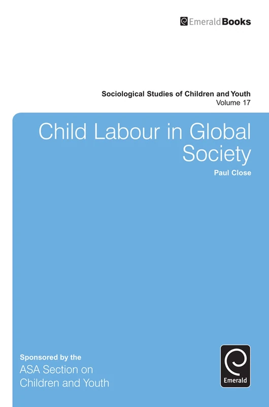 Child Labour in Global Society: 17 (Sociological Studies of Children and Youth, 17)