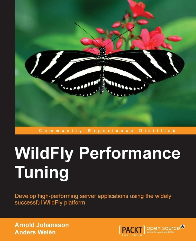 WildFly Performance Tuning - Image 1