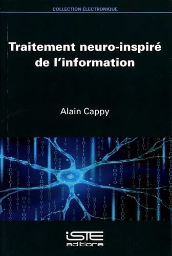 Traitement neuro-inspiré de l'information