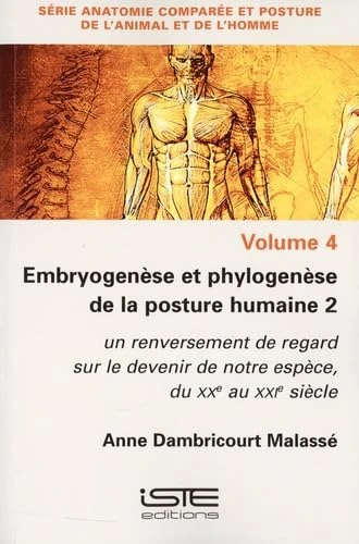 Embryogenèse et phylogenèse de la posture humaine 2: un renversement de regard sur le devenir de notre espèce, du XXe au XXIe siècle