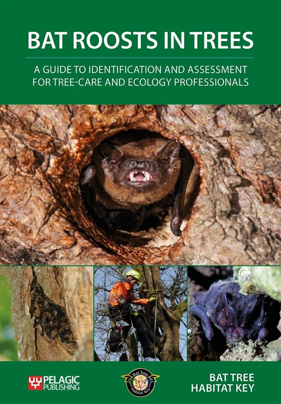 Bat Roosts in Trees: A Guide to Identification and Assessment for Tree-Care and Ecology Professionals - Image 1