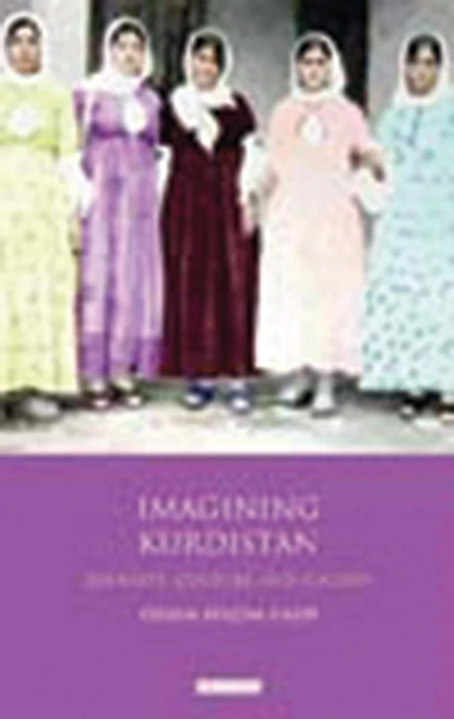 Imagining Kurdistan: Identity, Culture and Society (Library of Modern Middle East Studies) (Written Culture and Identity)