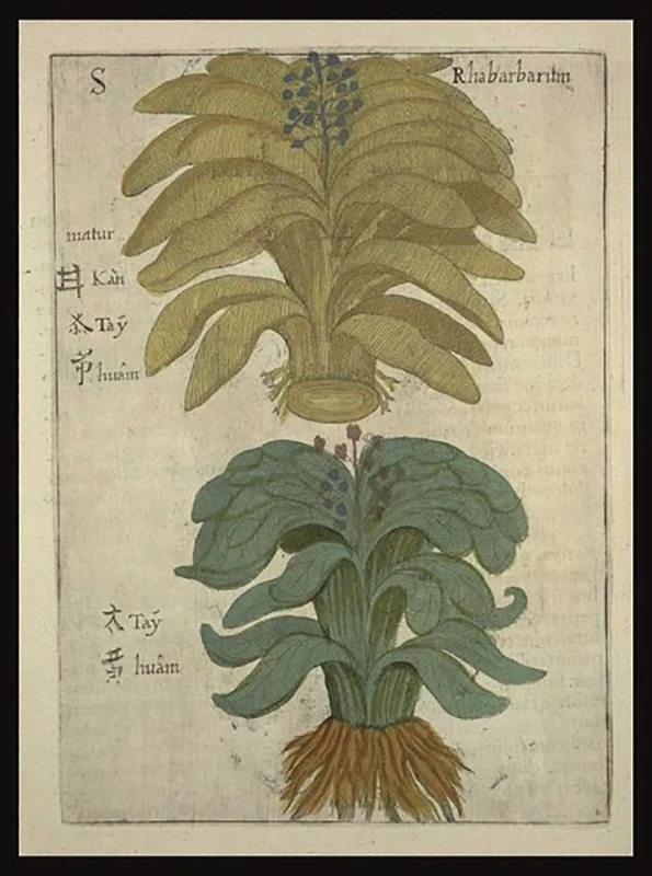 Sino-Iranica: China and Ancient Iran: Commodities and Culture from 500 BC to Medieval Times