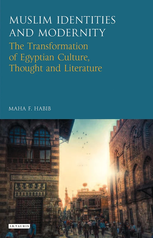 Muslim Identities and Modernity: The Transformation of Egyptian Culture, Thought and Literature (Library of Modern Middle East Studies)
