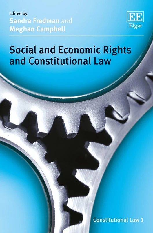 Social and Economic Rights and Constitutional Law (Constitutional Law series)