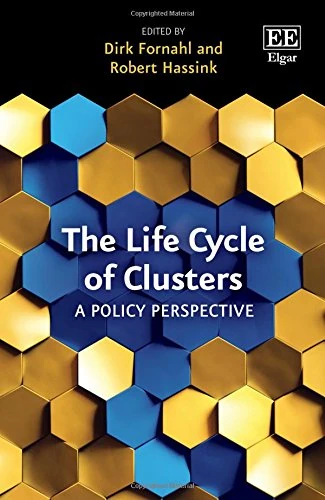 The Life Cycle of Clusters: A Policy Perspective