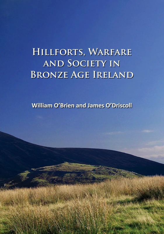 Hillforts, Warfare and Society in Bronze Age Ireland