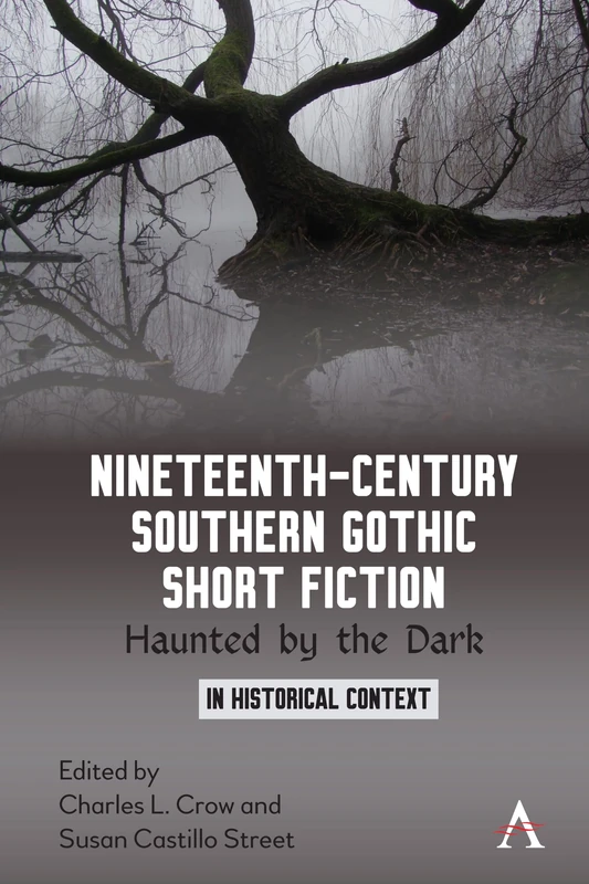 Nineteenth-Century Southern Gothic Short Fiction: Haunted by the Dark: 1 (Anthem Studies in Gothic Literature, 1)